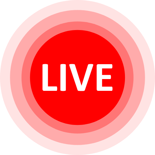 Phone Sex Video Chat